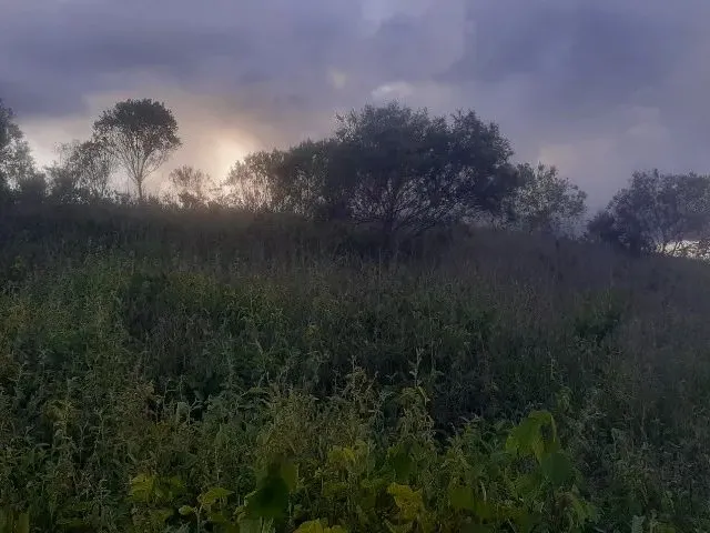 Imagem 3: Chácara 10 Mil Metros Quadrados