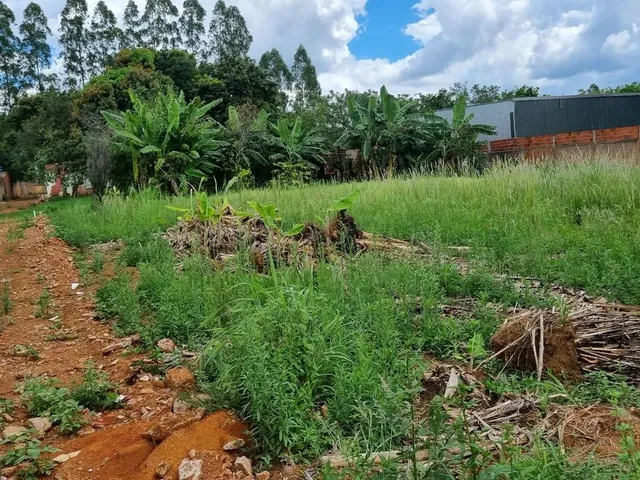 Imagem 7: Ch.incra 9 Cleba3 Chácara.o3 com 3.000Mts 550.000