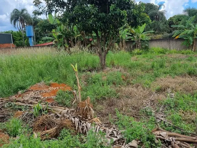 Imagem 10: Ch.incra 9 Cleba3 Chácara.o3 com 3.000Mts 550.000