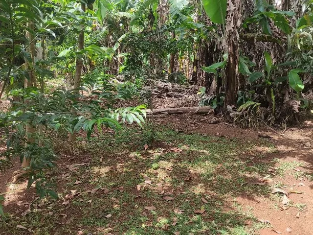 Imagem 13: Chacara com 2800 M² Nucleo Rural Sarandi Planaltina Df