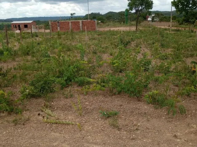Imagem: Venda de Lotes Sabona Sobradinho dos Melos