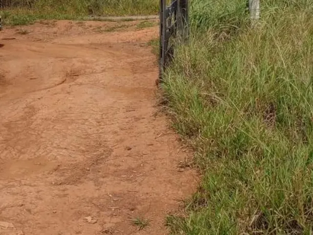 Imagem: Vendo Terreno de 2 Hectares no Tororó Próximo