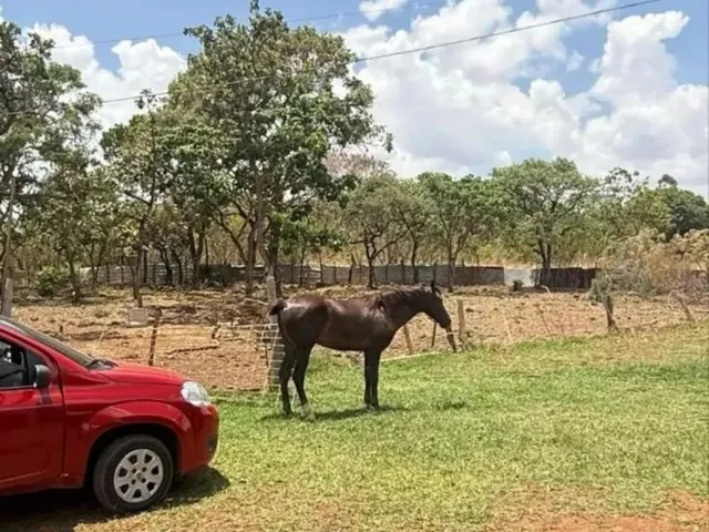 Imagem 2: Chácara | 33.000 M²