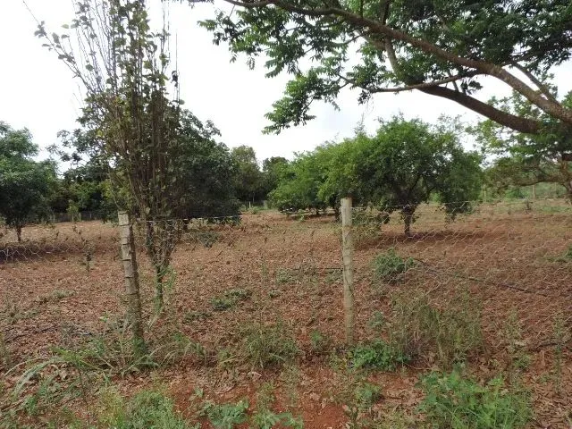 Imagem 4: Vendo Chácara 64 - Cascalheira - Área Total de 19.534.272 M²