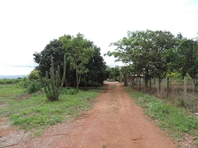 Imagem 13: Vendo Chácara 64 - Cascalheira - Área Total de 19.534.272 M²