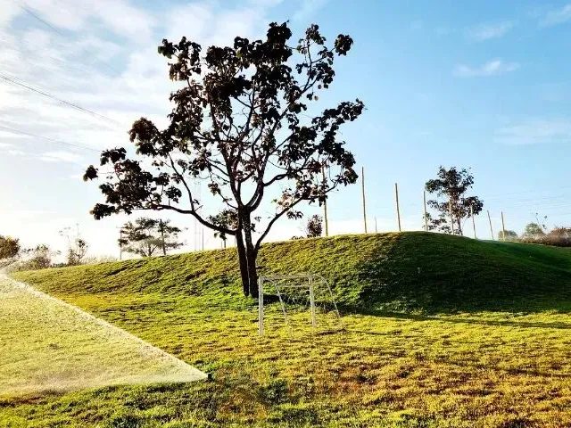 Imagem 7: Excelente Chacara na Principal da Br, Facio Acesso