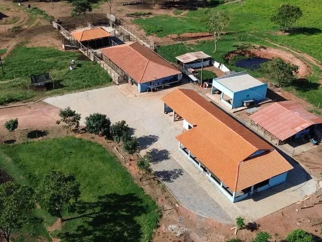Imagem: Vendo Fazenda em Alexânia 11,3 Alqueires