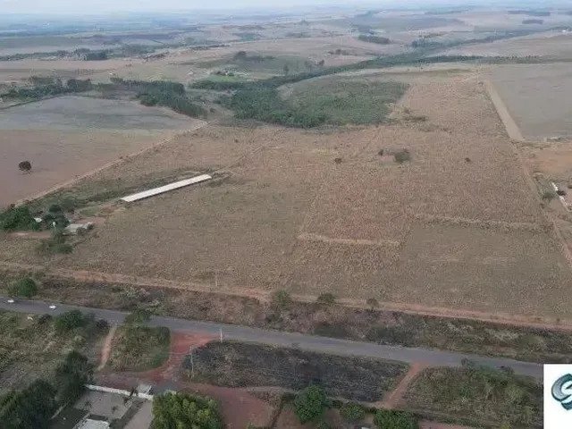 Imagem: Café Sem Troco - Fazenda com 47 Hectares