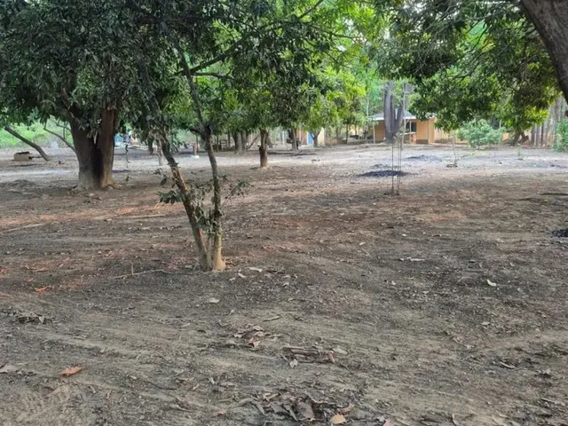 Imagem 4: Rancho em Paracatu