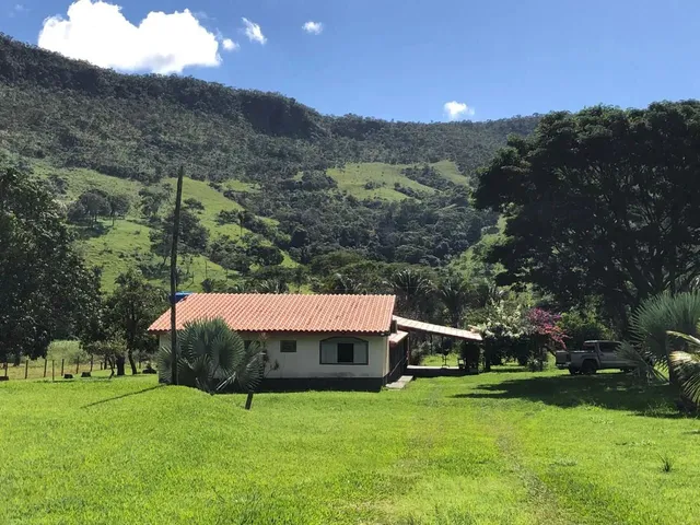 Imagem: Fazenda