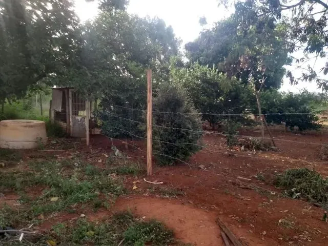 Imagem 15: Chácara Df Planaltina Pipiripau