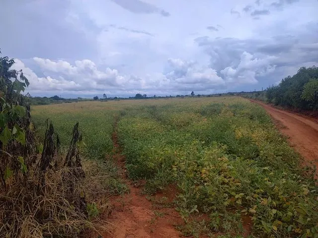 Imagem 2: Chácara Df Planaltina Pipiripau