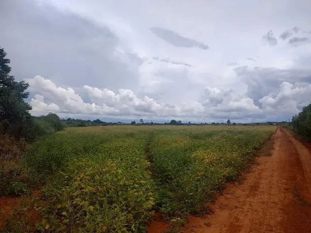 Imagem 8: Chácara Df Planaltina Pipiripau