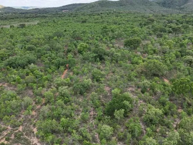 Imagem: Propriedade a Venda em Unaí/Mg Com70 Hectares