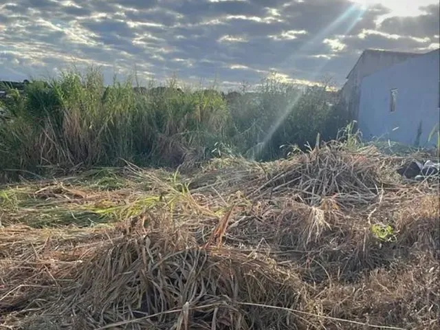 Imagem: Lote 400 M2 - Vicente Pires (Chácara 336)