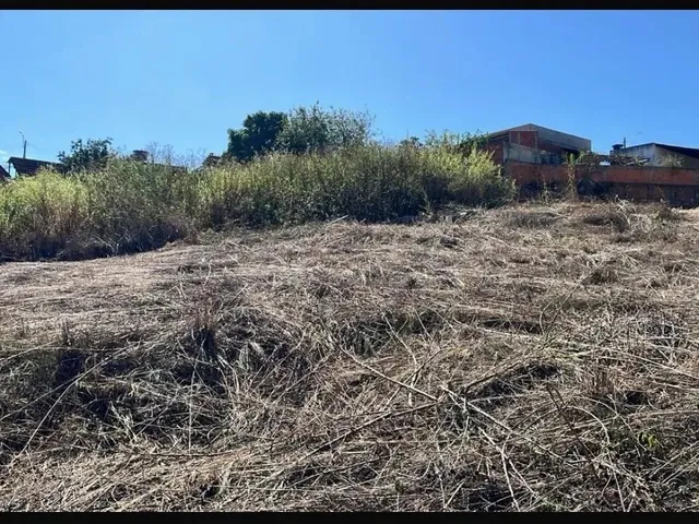 Imagem 6: Lote 400 M2 - Vicente Pires (Chácara 336). Oportunidade por 160 Mil