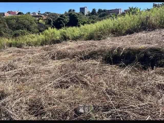 Imagem 7: Lote 400 M2 - Vicente Pires (Chácara 336). Oportunidade por 160 Mil