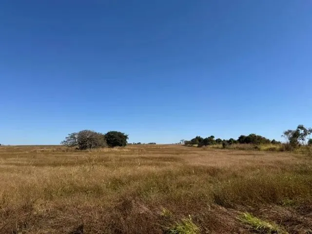 Imagem: Fazenda Dupla Aptidão (Soja e Gado) a Venda