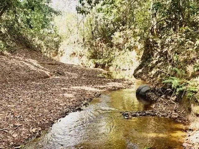 Imagem: Excelente Chacara com 2 Hectares, no Capão