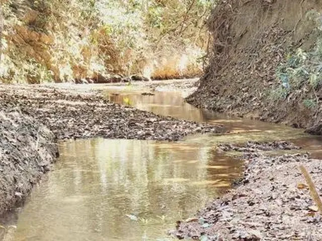 Imagem 2: Excelente Chacara com 2 Hectares, no Capão Cumprido