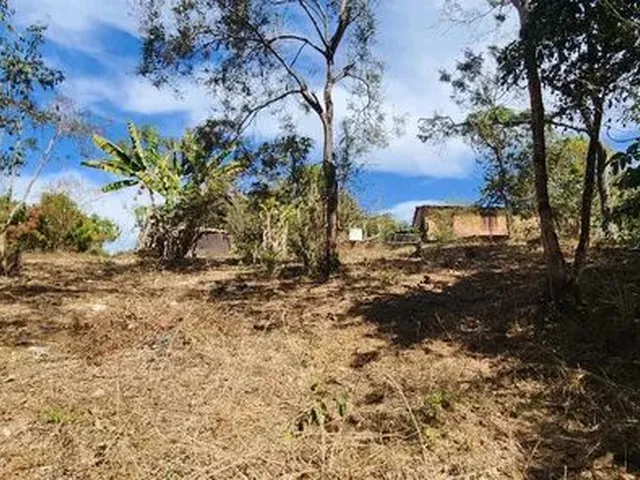 Imagem 10: Excelente Chacara com 2 Hectares, no Capão Cumprido