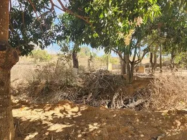 Imagem 6: Excelente Chacara com 2 Hectares, no Capão Cumprido