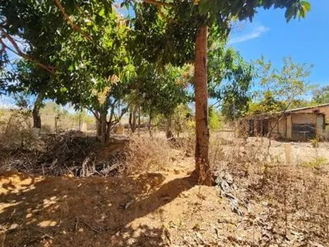 Imagem 9: Excelente Chacara com 2 Hectares, no Capão Cumprido