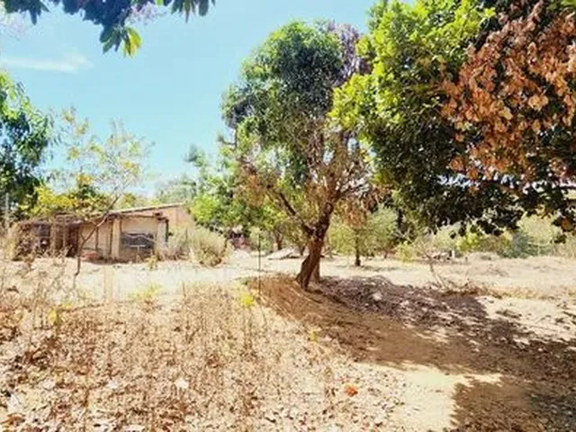 Imagem 7: Excelente Chacara com 2 Hectares, no Capão Cumprido