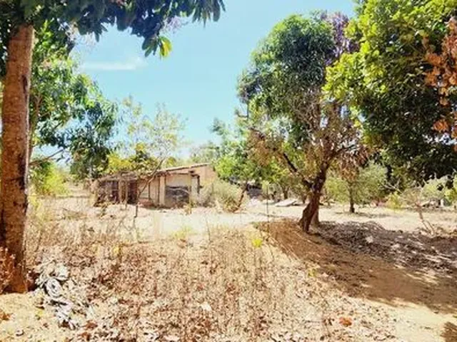 Imagem 8: Excelente Chacara com 2 Hectares, no Capão Cumprido