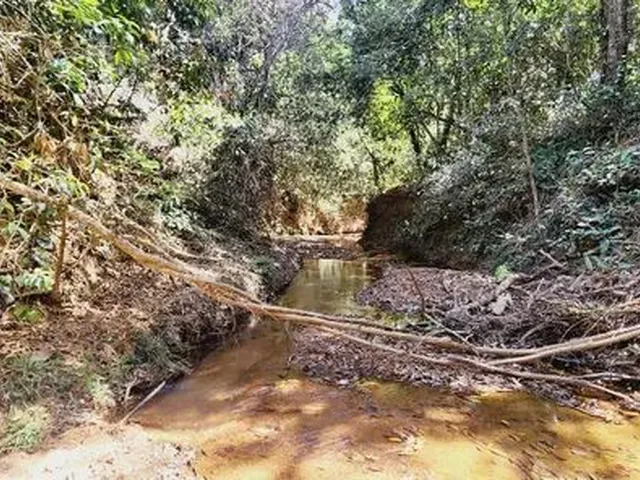 Imagem 3: Excelente Chacara com 2 Hectares, no Capão Cumprido