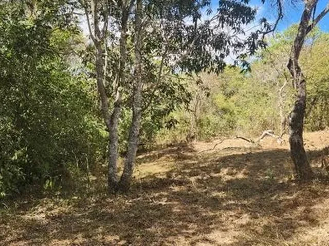Imagem 4: Excelente Chacara com 2 Hectares, no Capão Cumprido
