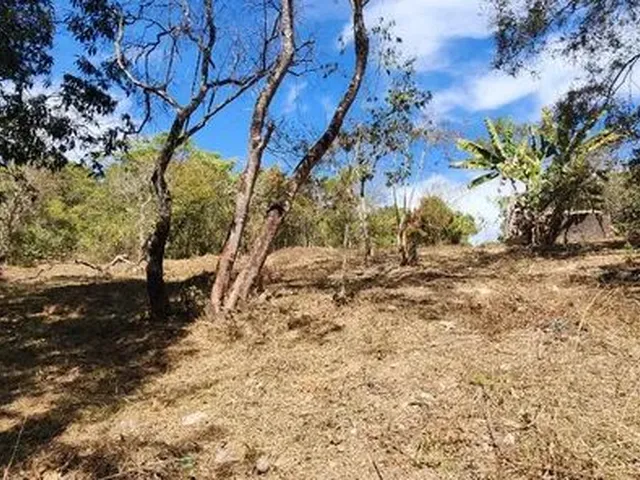 Imagem 5: Excelente Chacara com 2 Hectares, no Capão Cumprido