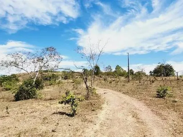 Imagem 14: Excelente Chacara com 2 Hectares, no Capão Cumprido