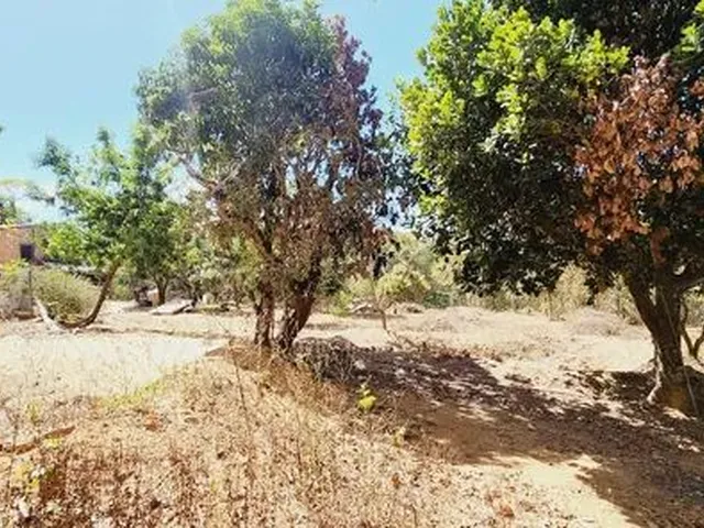 Imagem 11: Excelente Chacara com 2 Hectares, no Capão Cumprido
