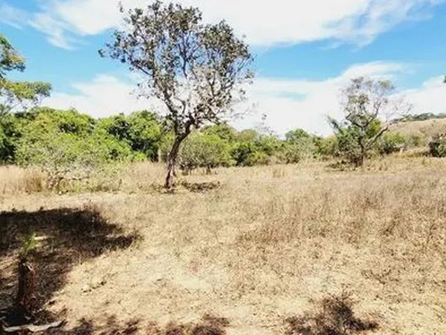 Imagem 13: Excelente Chacara com 2 Hectares, no Capão Cumprido