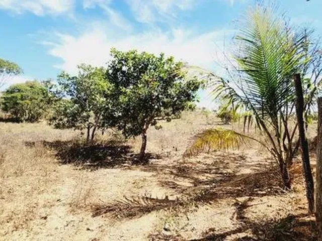 Imagem 16: Excelente Chacara com 2 Hectares, no Capão Cumprido
