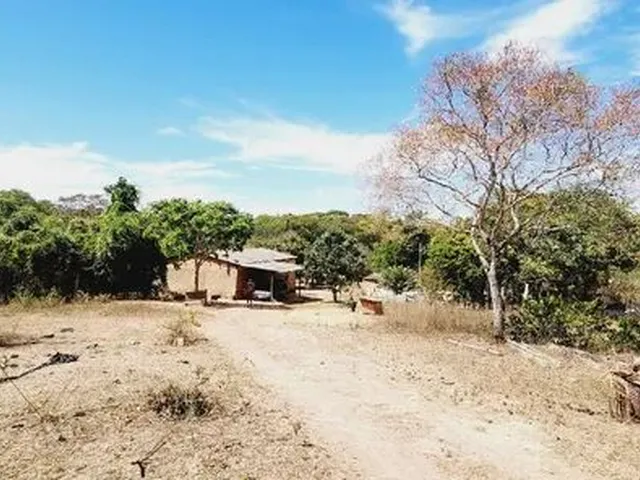 Imagem 15: Excelente Chacara com 2 Hectares, no Capão Cumprido