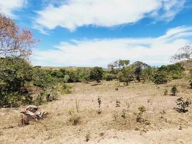 Imagem 12: Excelente Chacara com 2 Hectares, no Capão Cumprido