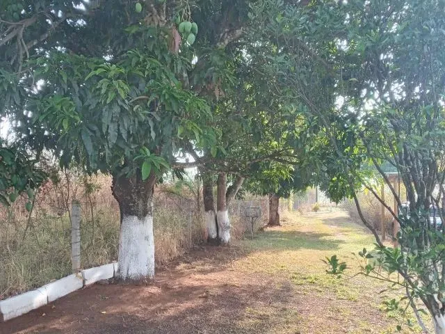 Imagem: Chácara Ótima Localização