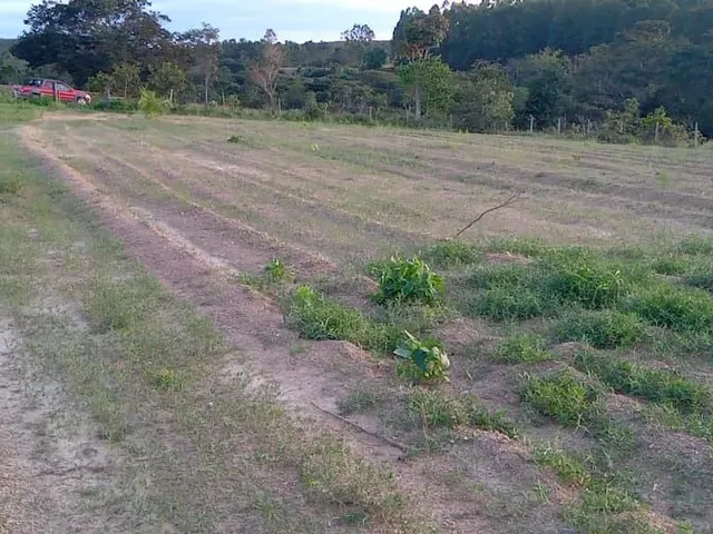 Imagem: Vende-Se Terreno