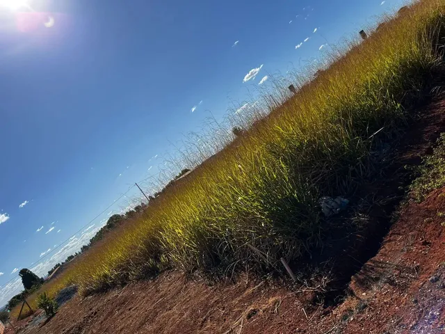 Imagem 4: Lote Núcleo Rural Casa Grande