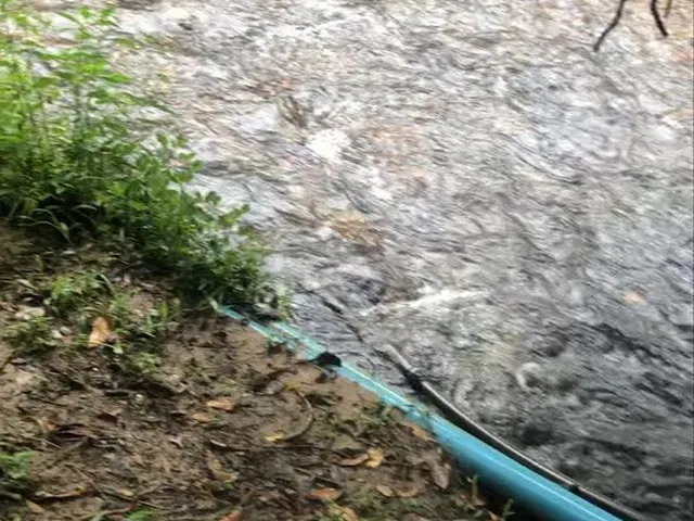 Imagem 2: Chácara com Rio Oportunidade 105 Mil