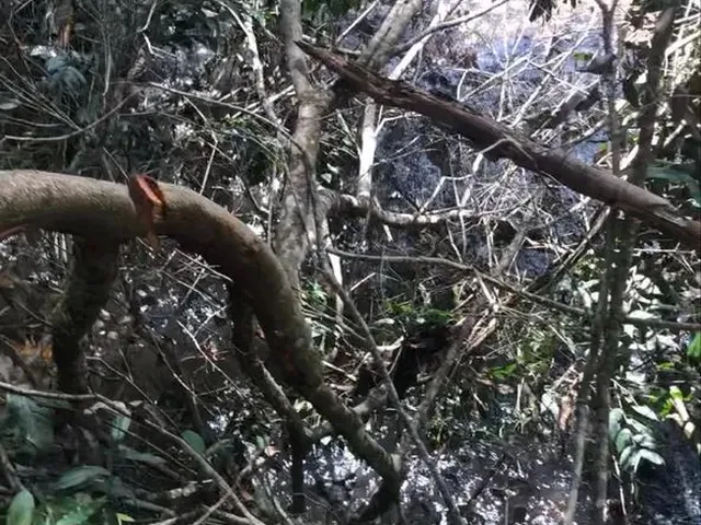 Imagem 4: Chácara com Rio Oportunidade 105 Mil