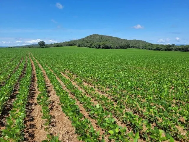 Imagem: Fazenda À Venda Próximo a Padre Bernardo