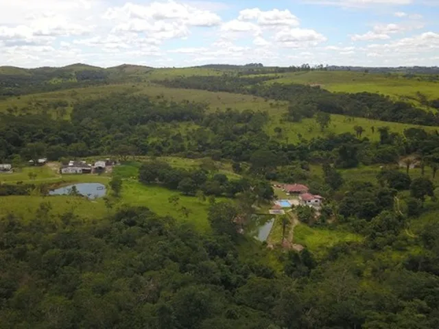 Imagem: Fazenda Girassol / Cocalzinho Go - 166Hec