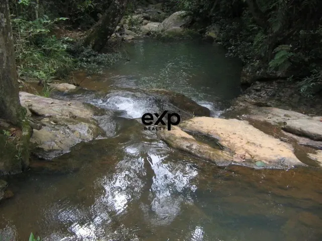 Imagem: Ótimo Investimento a Venda - Fazenda