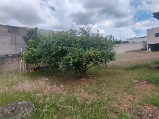 Imagem 11: Ótimo Lote de 450M² Escriturado e Quitado Junto À Terracap - Arniqueiras