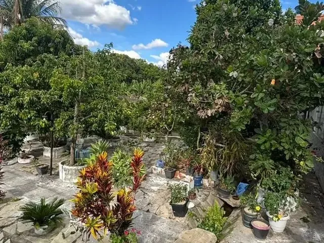 Imagem 9: Chácara Localizada na Estância 4, Dentro da Cidade e de Fácil Acesso