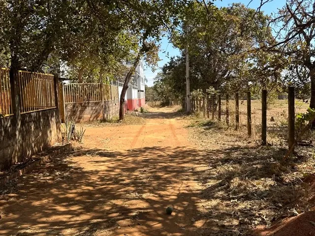 Imagem: Lote! Capoeira do Bálsamo! Água de Coco!
