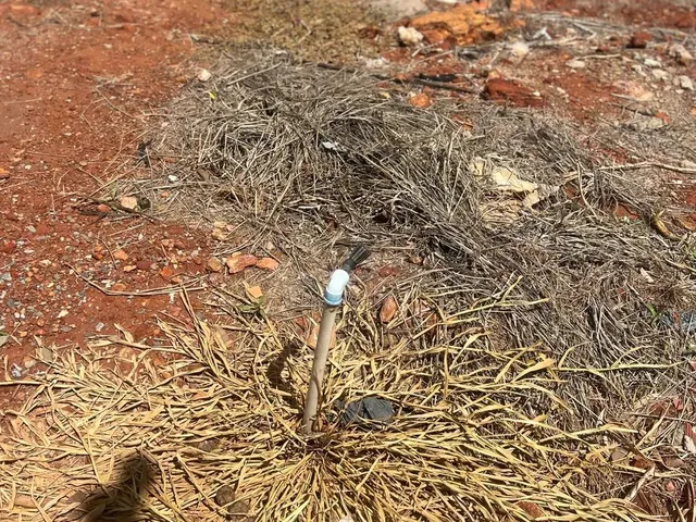 Imagem 6: Recanto das Emas - Lote 300M² com Água e Luz - Pronto para Construir!